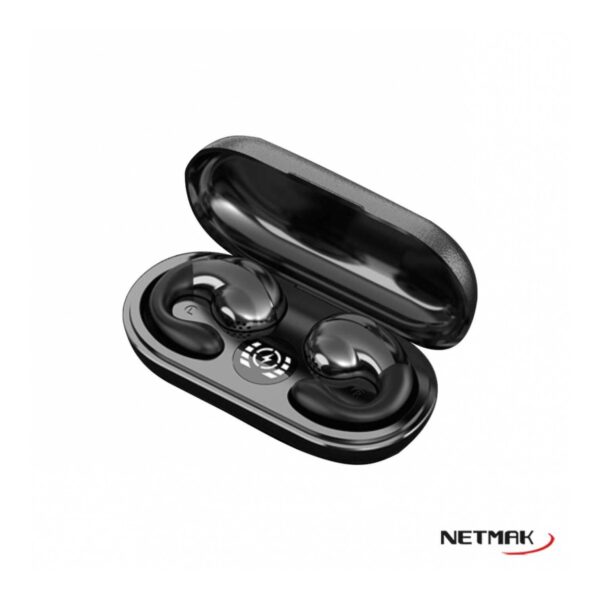 AURI IN-EAR NETMAK – NM-FITER